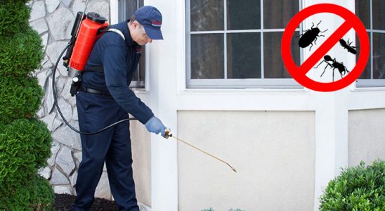 Ulukışla Böcek ve Haşere İlaçlama böcek ilaçlama ve haşere kontrolü — ilaclama-tr.com